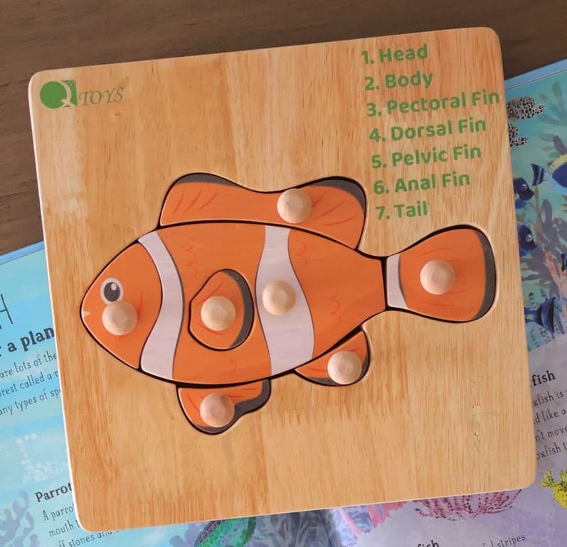 Montessori Fish Puzzle