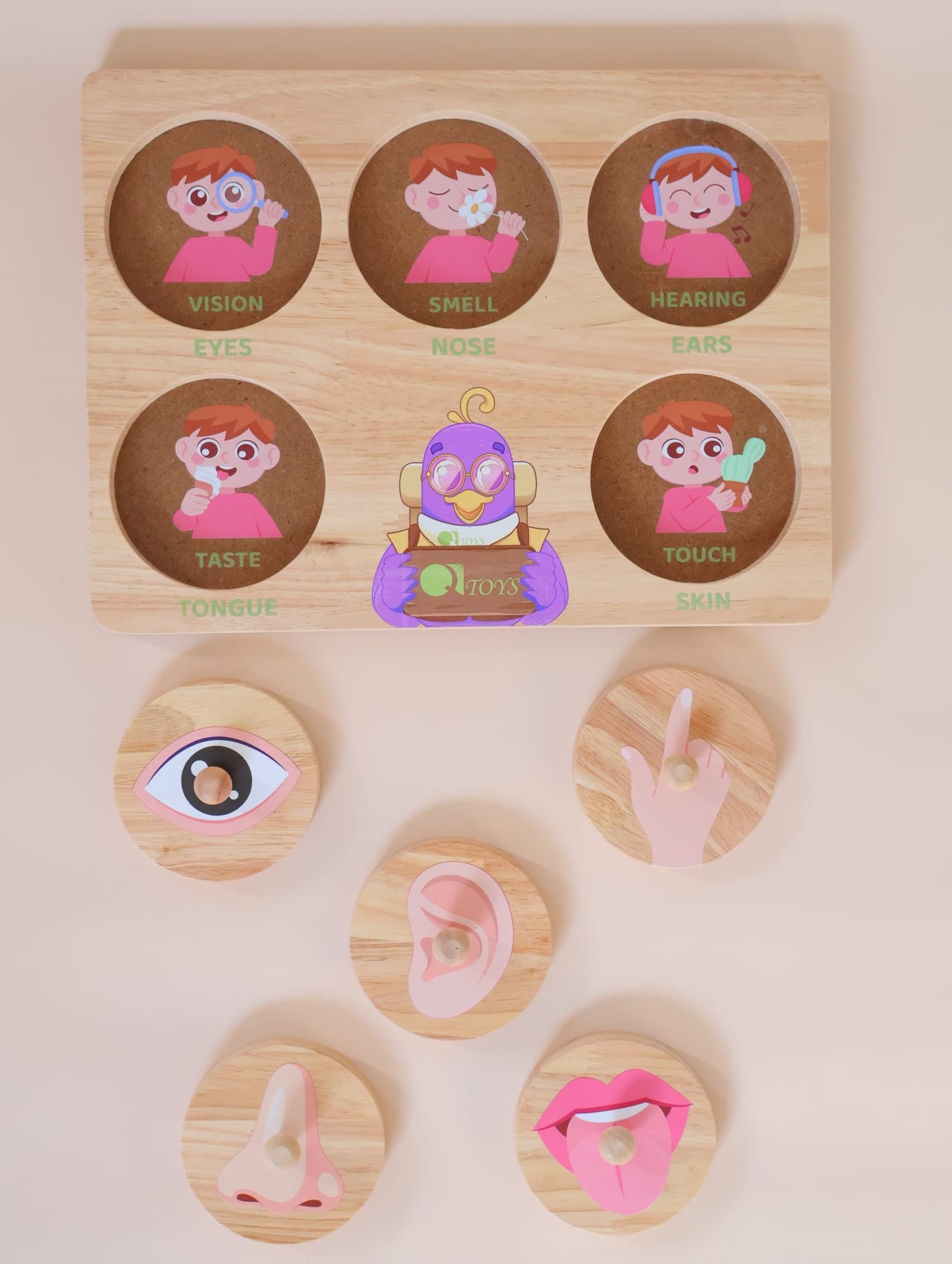 Qtoys Five Senses Puzzle