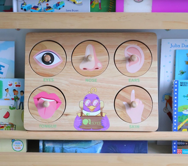 qtoys five sense wooden puzzle