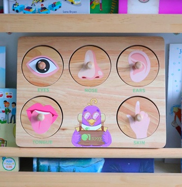wooden kids senses puzzle