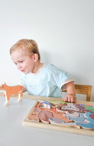 australian animals wildlife puzzle