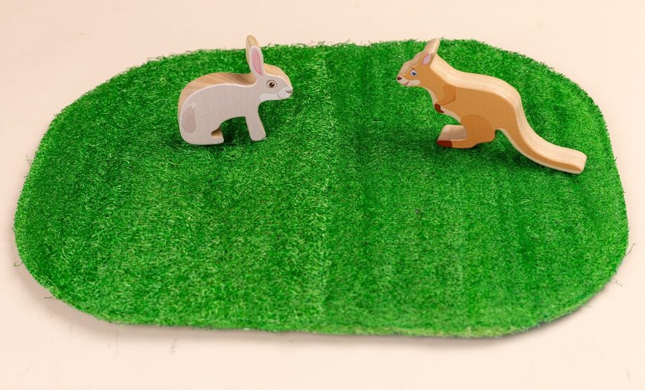 The Wilderness Maps Loofah Placemats Set of 3