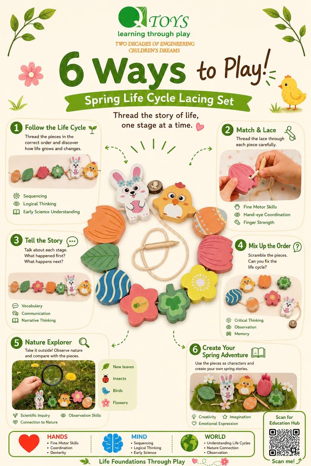 Qtoys Spring Life Cycle Lacing Set - image 2
