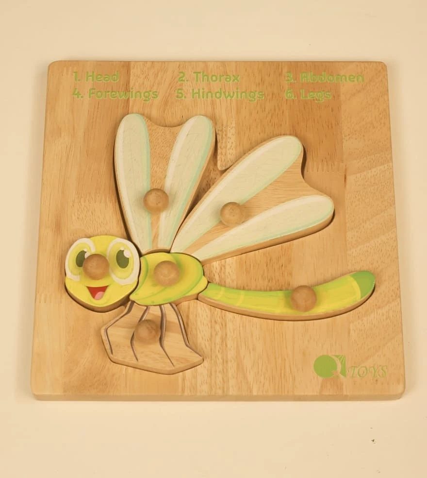 insect anatomy knob puzzle