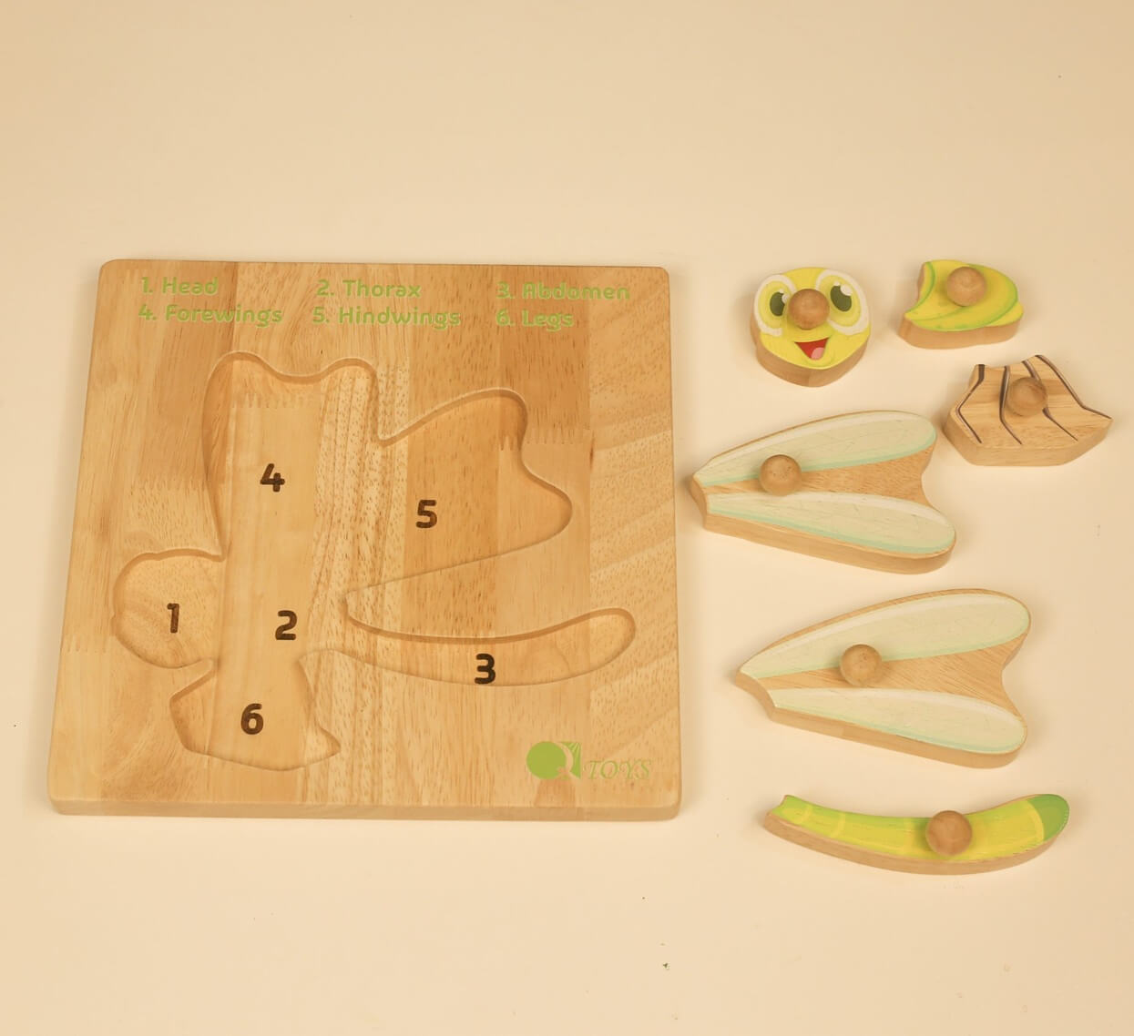 but anatomy puzzle
