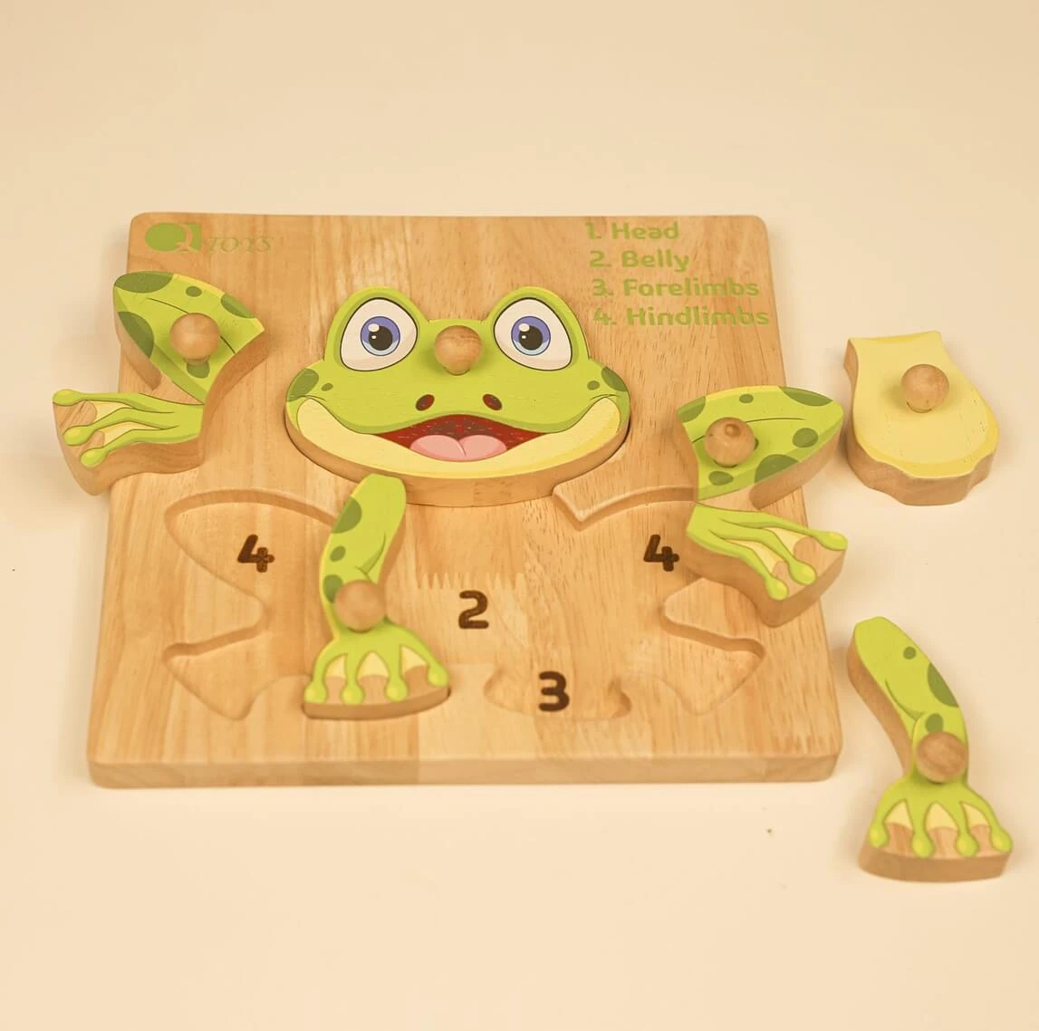  Qtoys Montessori Forg Parts Anatomy Puzzle