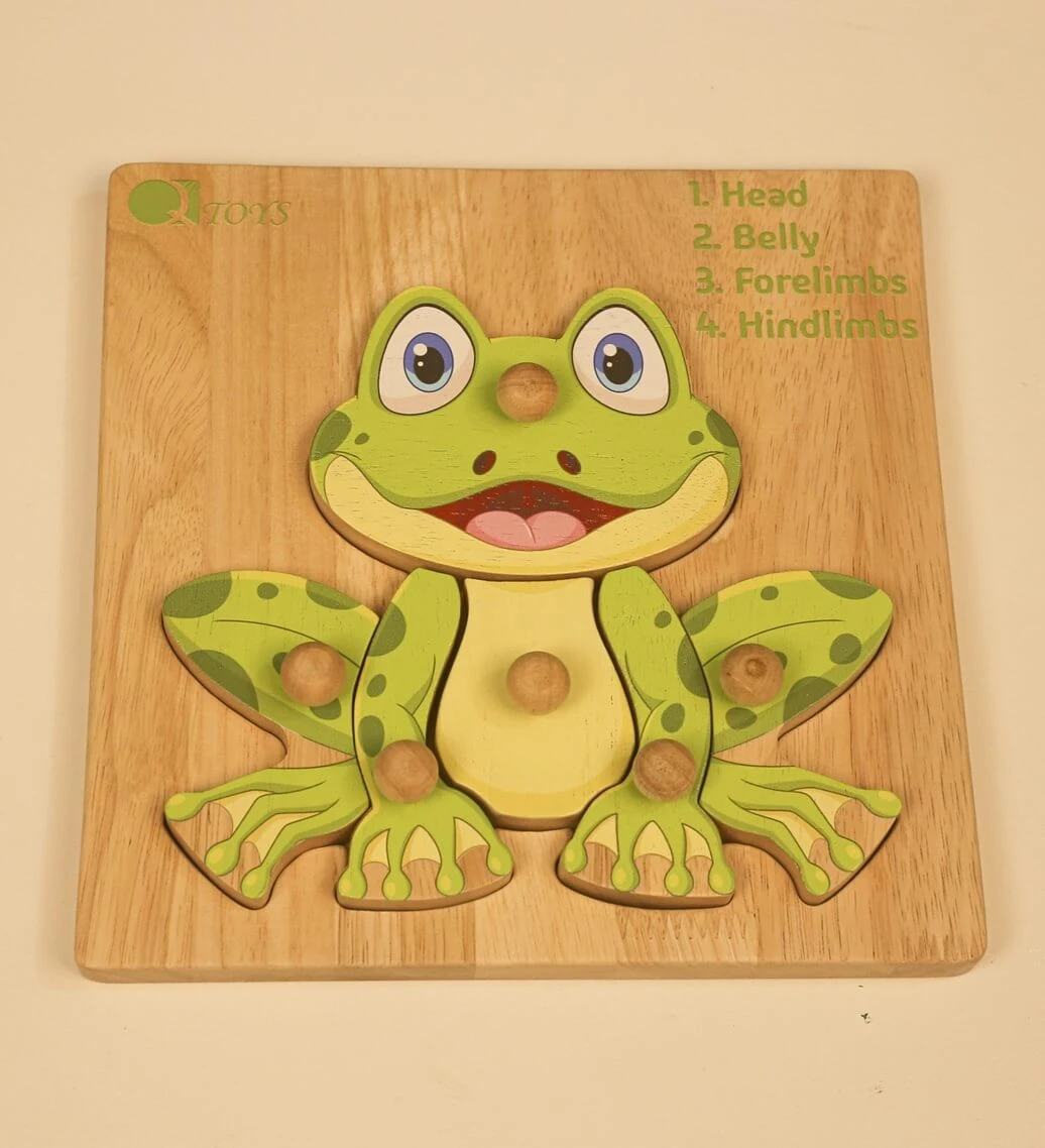  Qtoys Montessori Amphibian Anatomy Puzzle