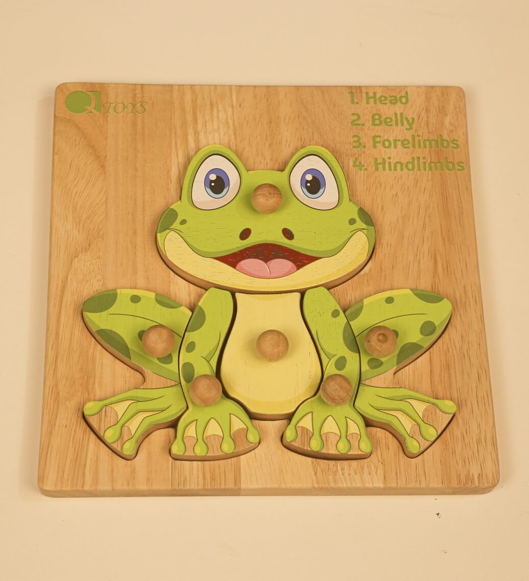 Qtoys Montessori Amphibian Anatomy Puzzle