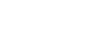 The Online Shoe Shop