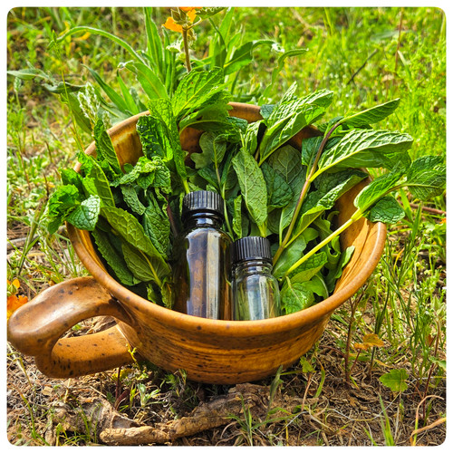 Garden Mint Fragrance Oil