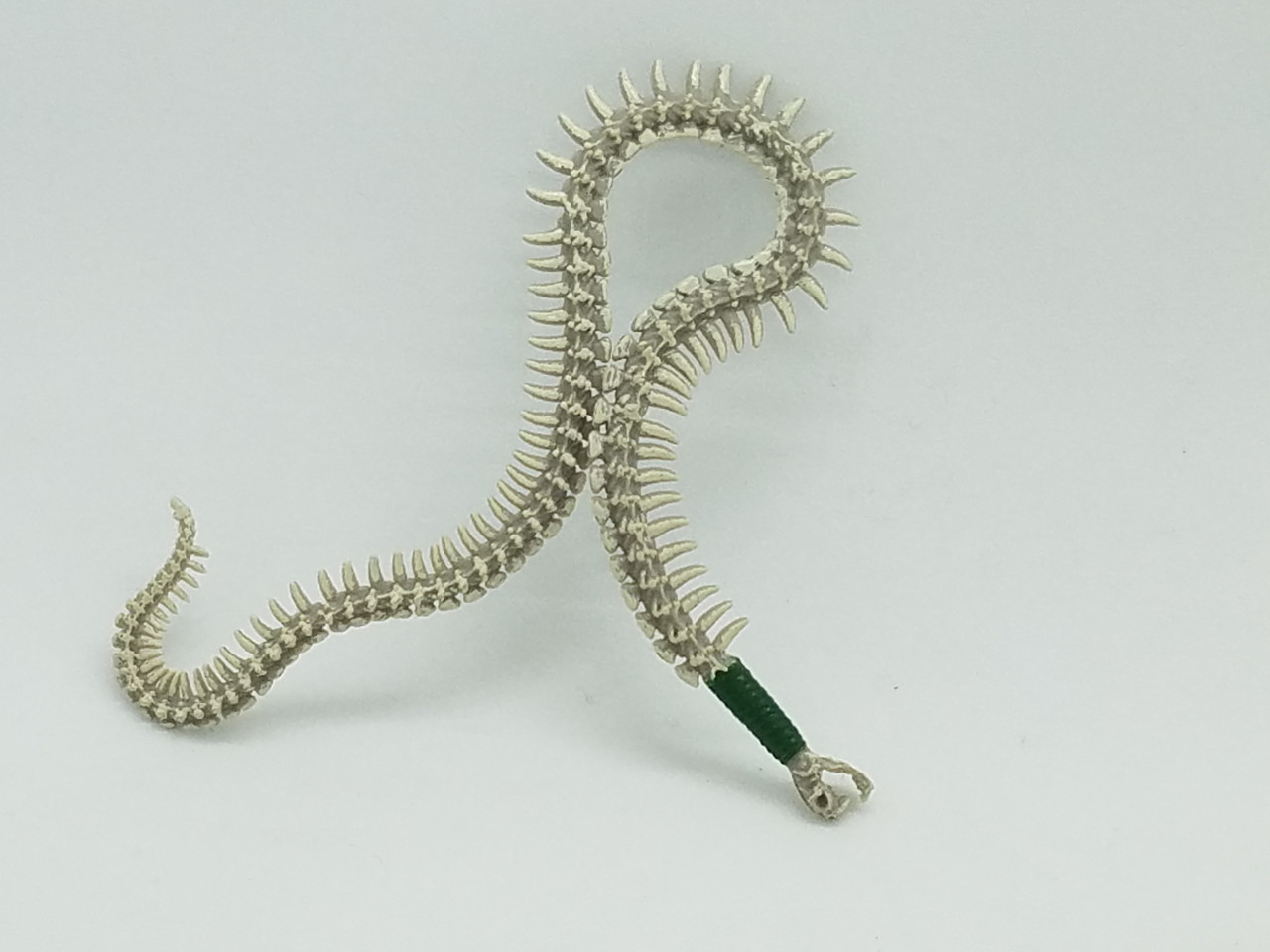 Boa Constrictor Gorgon Snake Whip - Vitruvian Armory