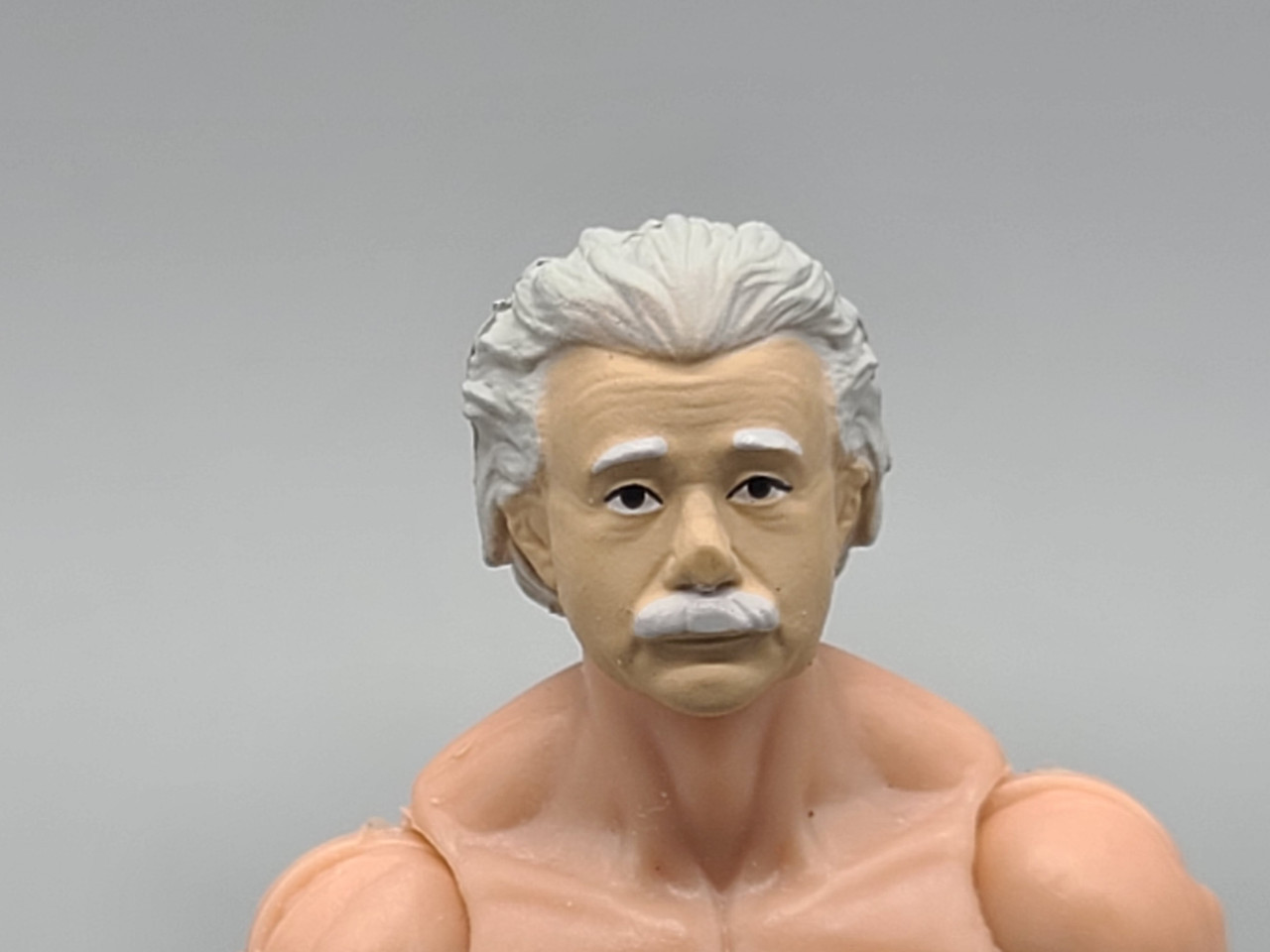 Vitruvian Armory - Albert Einstein Head - Space Force by Fresh