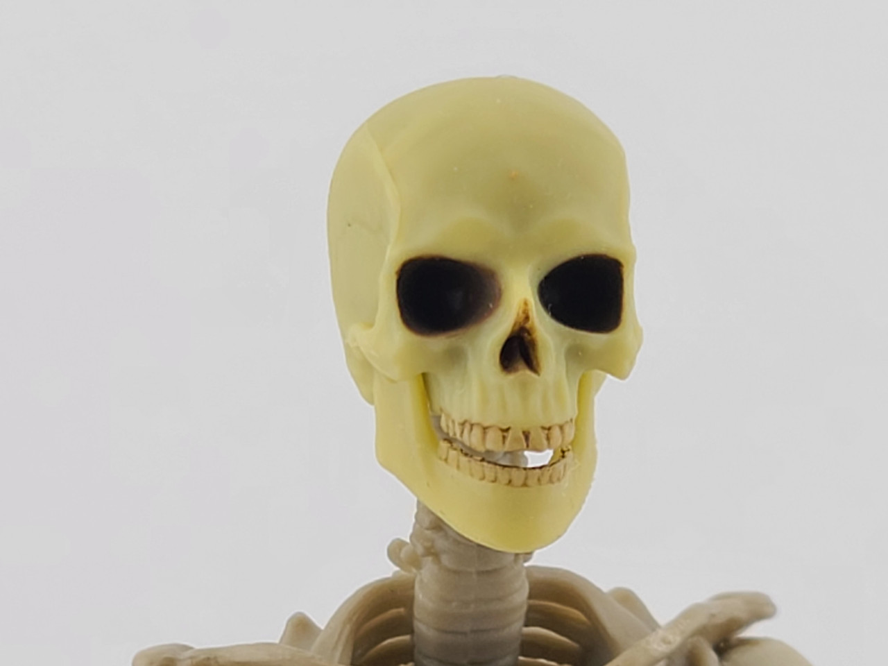 その他 SKKIN barbarian skull Vitruvian Armory - Boss Fight Studio Epic HACKS - Barbarian Ivory