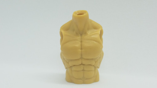 Vandar Torso