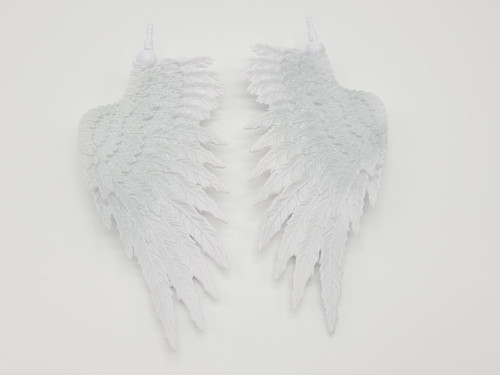 Pegasus Wings