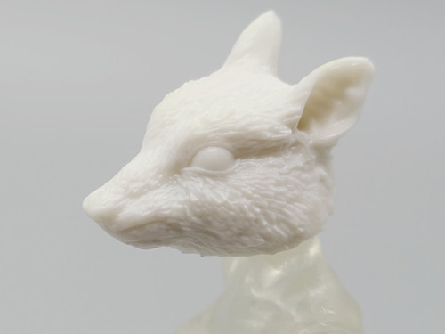 Rodent / Rat / Mouse Female Head (White)