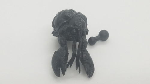 Crustacean Female Head (Black)