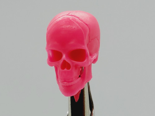 Pink Skeleton Skull