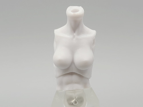 Cloud White Female Torso