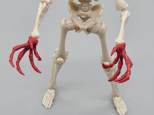 Blood Red Bone Claws (Skeleton Kit)