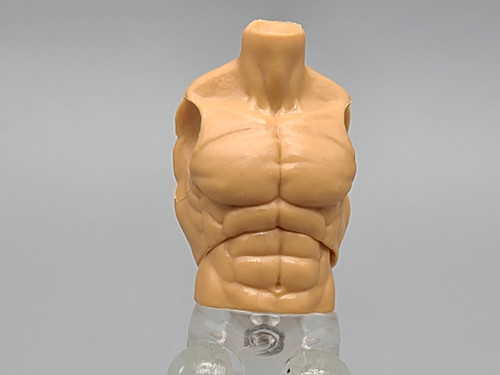 Champagne Beige (v2) Male Torso