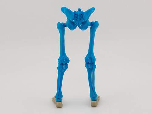 Grim Spectre Blue Skeleton Legs - 1:12 Scale - Epic HACKS