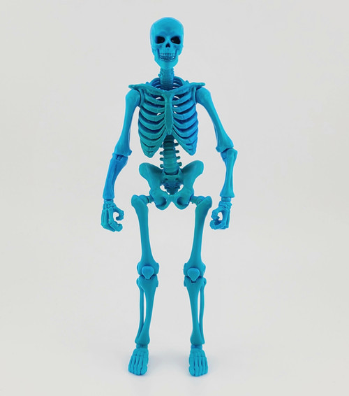 Grim Spectre Blue Skeleton - 1:12 Scale - Epic HACKS