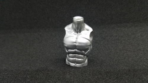 Chrome Male Torso