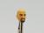 Felonius Bald Head