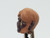 AWOK - Chunari Archers Head