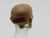 Light Brown Medusa  head (no hair) > TEST SHOT