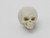 Skeleton Kit - White Alien Skull