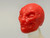 Lipstick Red Gorgon Head (closed mouth) > Test Shot