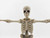 Weathered Gladiator Skeleton - 1:12 Scale - Epic HACKS