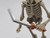 Gladiator Skeleton Sica Sword - 1:12 Scale - Epic HACKS