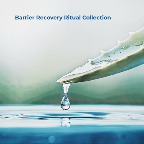 Barrier  Recovery  Ritual Collection