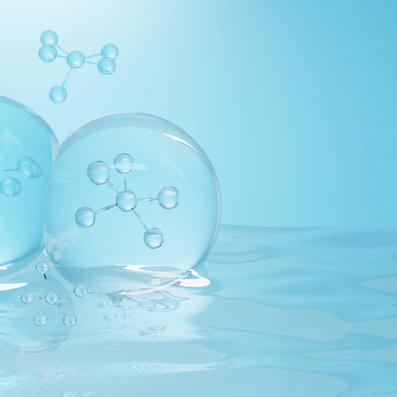 The Benefits of Polyphenols in Skincare: A Deep Dive