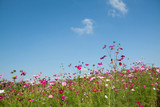 What does it mean to be eco-conscious?