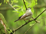A New Approach to Conservation? Yes, please! 