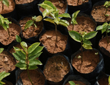 Earth Month Might Be Over, But We're Just Getting Started