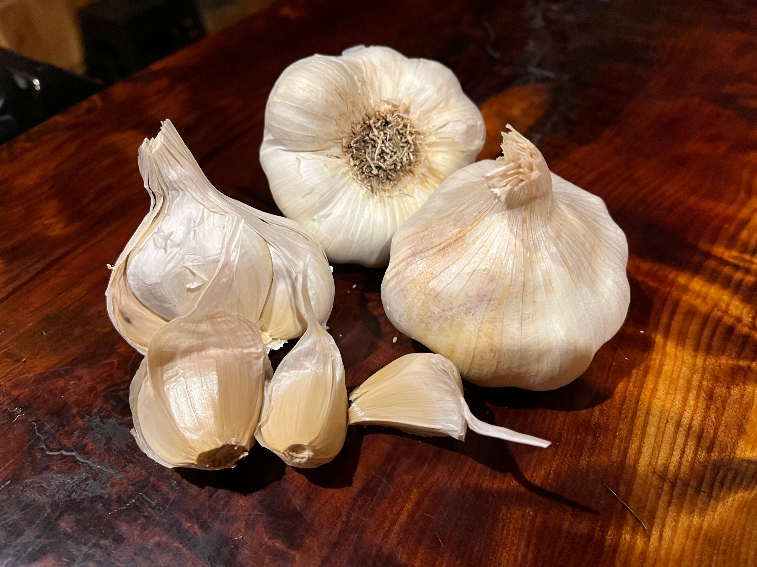 Softneck Garlic