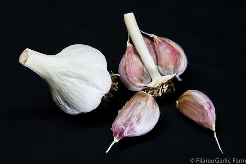 Zemo Garlic Bulbs Organically Grown