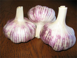 Maiskij Garlic Certified Naturally Grown