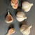 Armenian Garlic