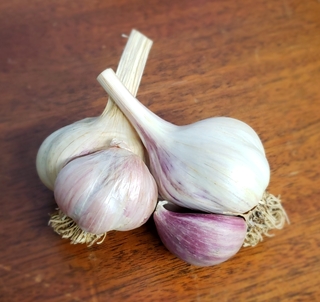 softneck-garlic.jpg