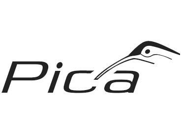 Pica