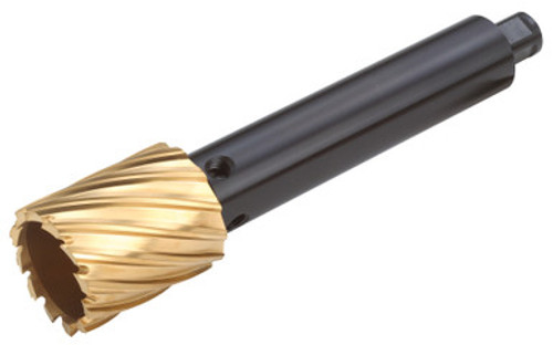 Fein 63106023980 - Extension - Arbor 6 In. Ae6000