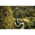 DEWALT DCPH820M1 - 20V MAX* Pole Hedge Trimmer (1) 4.0Ah