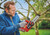 Einhell 4600030 - 18V 8" Top handle Cordless Pruning Chain Saw - Brushless Motor (Tool Only)