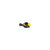 DEWALT DWE46152 - 5" Surfacing Shroud (Shroud Only)